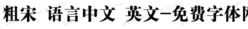 粗宋 语言中文 英文字体转换